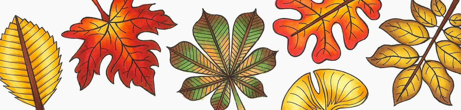 Nature, Coloring Leaves pt. 1