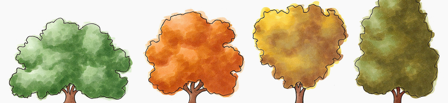 Nature, coloring TREES pt. 2