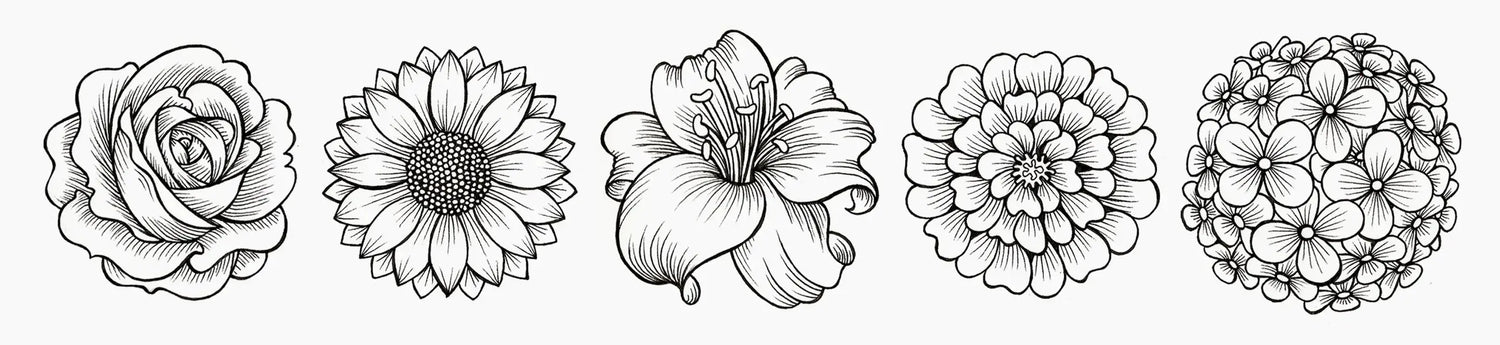 Nature, draw + outline flowers