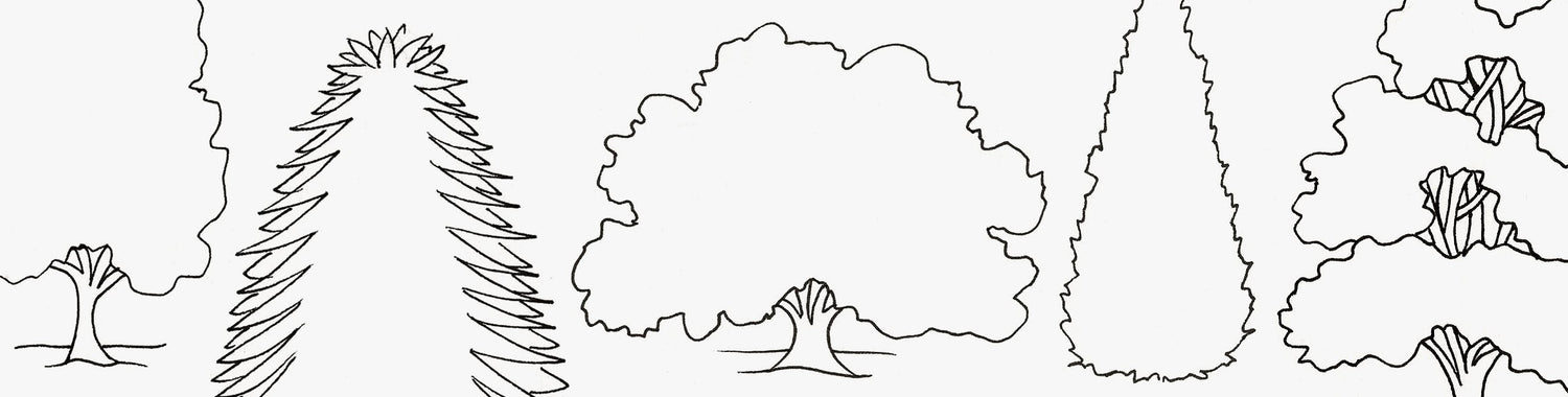 How to Draw a Tree | Design School