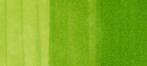 FG : Fluorescent Green